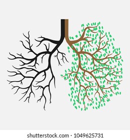 Human lungs. Respiratory system. The appearance of healthy and light lungs.Vector illustration eps 10
