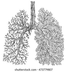 human lungs drawing