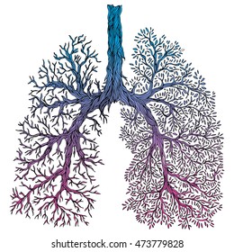 Human lungs. respiratory system. Healthy lungs. Light in the form of a tree. Line art. Black and white drawing by hand. Doodle.