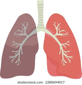 Human lungs sick sick lungs with trachea vector illustration