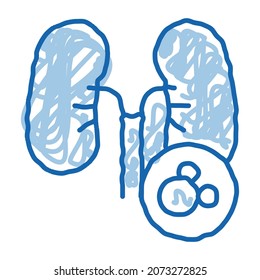 vector de icono de esbozo de pulmones humanos. Señal de pulmones humanos dibujada a mano de la línea azul del doodle. ilustración de símbolo aislado
