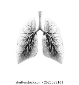 Human lungs, stylized with dotted texture, black and white medical graphic design isolated on white background, vintage anatomical drawing, retro scientific style, minimalist composition.