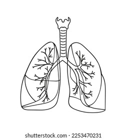 Human lungs symbol. Breathe, bronchi, bronchiole, bronchus, lung, lungs outline icon for medical or health care concept.