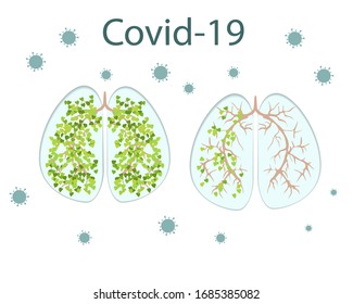 Human lungs that are slowly affected by the virus and begin to get sick