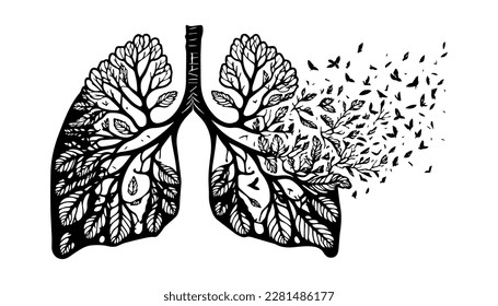 Human lungs vector black line illustration isolated white. Sketch art