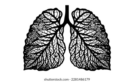 Human lungs vector black line illustration isolated white. Sketch art