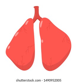 Human lungs vector cartoon illustration isolated on a white background.