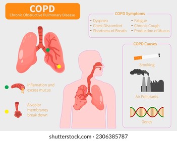 icono de imagen de clip vectorial de pulmones humanos. Ilustración vectorial de la EPOC, explicación pulmonar obstructiva crónica