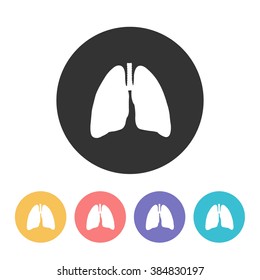 human lungs. vector illsutration