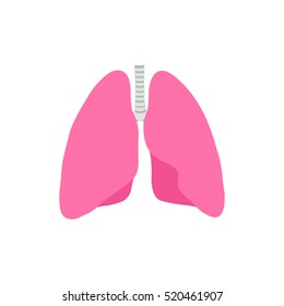 human lungs. vector illsutration