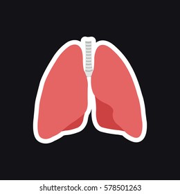 human lungs. vector illsutration