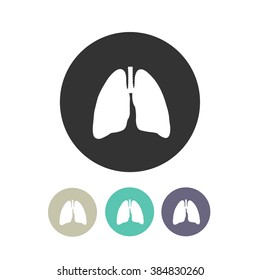 human lungs. vector illustration