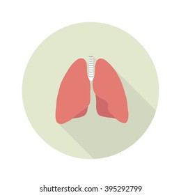 human lungs. vector illustration