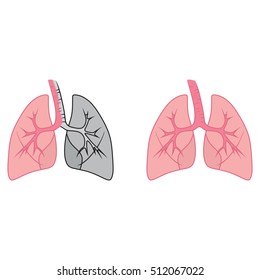 human lungs. vector illustration