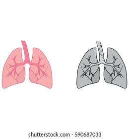 human lungs. vector illustration