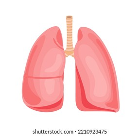 Human Lungs vector illustration. Internal Organ anatomy.medicine and health care