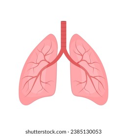 Human lungs vector illustration isolated on white background