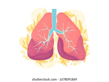 Human lungs, vector lung patients