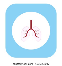 human lungs with white background