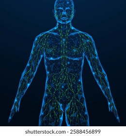 Human lymphatic vessels. Polygonal design of interconnected lines and dots. Blue background.