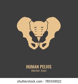 Human male anatomy icon. Pelvis image in a flat style. Vector illustration in beige colour isolated on a dark grey background.