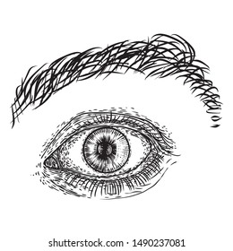 Human male eye in hand drawn style. Anatomy of vision organ element. Vector.