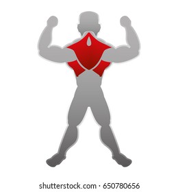 Human male muscles