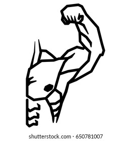 Human male muscles