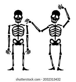 Human man skeleton anatomy cartoon style. Vector isolated flat illustration of skull and bones. Halloween cutting svg file for design svg
