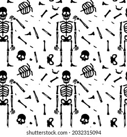 Human man skeleton anatomy cartoon style. Vector isolated flat illustration of skull and bones.Seamless pattern. Halloween cutting svg file for design svg