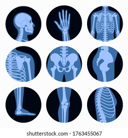 Human man skeleton anatomy, parts of male body on x ray view. Vector isolated flat illustration of skull and bones on reontgen. Medical, educational or science banner