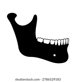 Human mandible bone illustration with mandible skeleton illustration