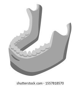 Human mandible icon. Isometric of human mandible vector icon for web design isolated on white background