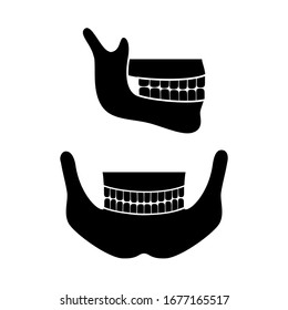 Human maxilla and teeth anatomy. Flat vector medical illustration isolated. Structure of facial skeleton . Cranium diagram. Front and side view. Educational, science poster 
