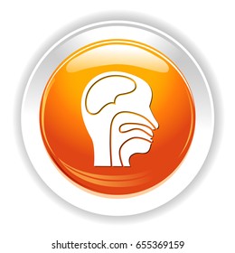 human medical icon