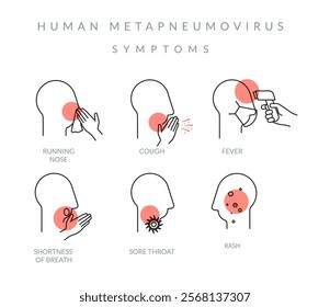 Human Metapneumovirus (HMPV) - Key Symptoms - Stock Illustration as EPS 10 File