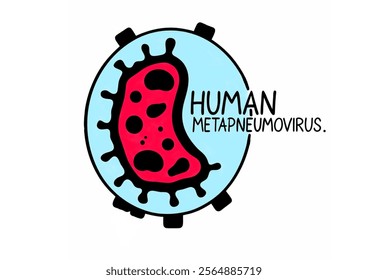 Human Metapneumovirus illustration drawing on white background.