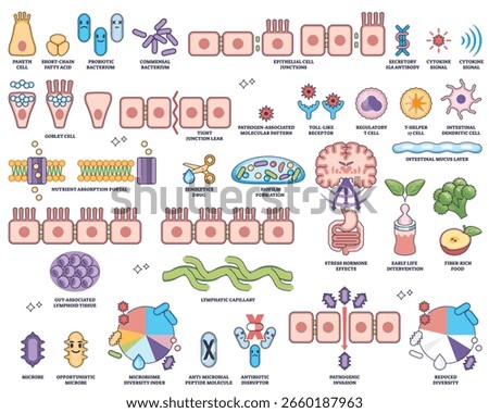 Human microbiome worksheet collection shows gut bacteria, epithelial cells, and immune functions in an educational outline style. Outline style collection