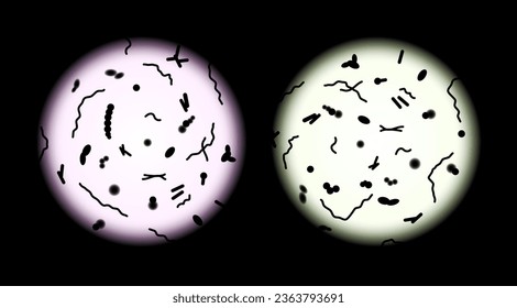 Human microbiota microscope view transplant vector probiotic cell. Microbiota microscope illustration