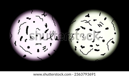 Human microbiota microscope view transplant vector probiotic cell. Microbiota microscope illustration