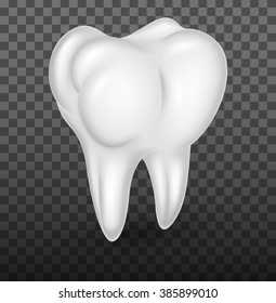 Human molar teeth realistic on transparent background