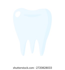 Molar humano, ilustração vetorial do dente.