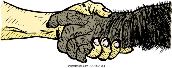 A human and monkey handshake for the concept: Human working hand in hand with wildlife to conserve the world. Vector illustration. 