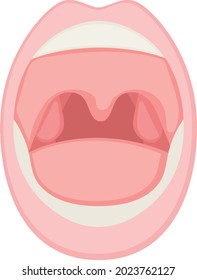 Human Mouth Concept, Throat and Tonsils Vector color Icon Design, Organ System Symbol, Human Anatomy Sign, Human Body Parts Stock illustration