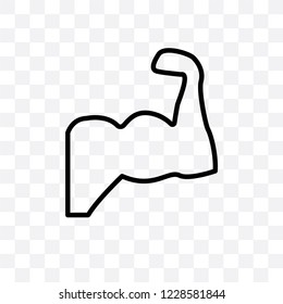 Human Muscle vector linear icon isolated on transparent background, Human Muscle transparency concept can be used for web and mobile