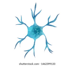 Human  nerve cell neuron, isolated with triangle, stars, dots. Low poly anatomy polygon design. Polygonal style illustration of neuron, medical design, study or concept, logo, scientific background