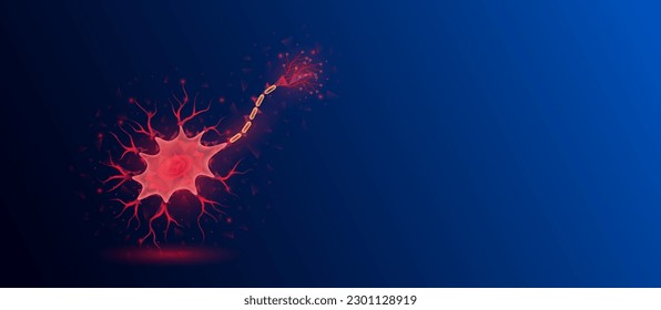 Human nerve cell red translucent low poly triangles on dark blue background. Futuristic glowing organ hologram and copy space for text. Medical and science concept. Banner design vector.