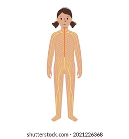 Human Nervous System, In Child Silhouette. Network Of Nerves CNS And PNS Systems. Cerebellum, Brain And Spinal Cord Conducts Impulses To Body Parts. Sensory Receptors Medical Flat Vector Illustration.