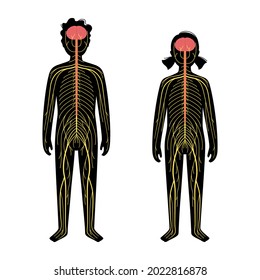 Human Nervous System, In Child Silhouette. Network Of Nerves CNS And PNS Systems. Cerebellum, Brain And Spinal Cord Conducts Impulses To Body Parts. Sensory Receptors Medical Flat Vector Illustration.