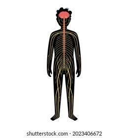 Human Nervous System, In Child Silhouette. Network Of Nerves CNS And PNS Systems. Cerebellum, Brain And Spinal Cord Conducts Impulses To Body Parts. Sensory Receptors Medical Flat Vector Illustration.